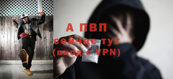 сатива Кодинск