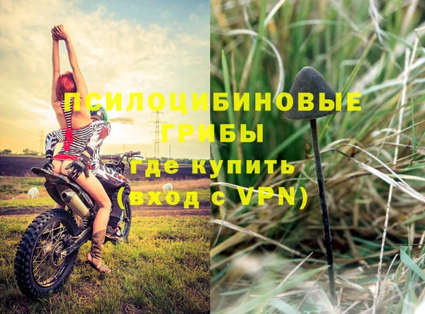сатива Кодинск