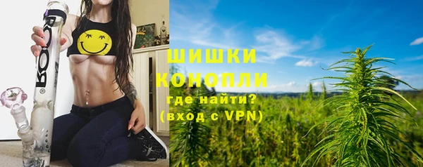сатива Кодинск