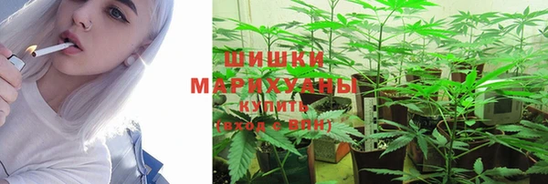 сатива Кодинск