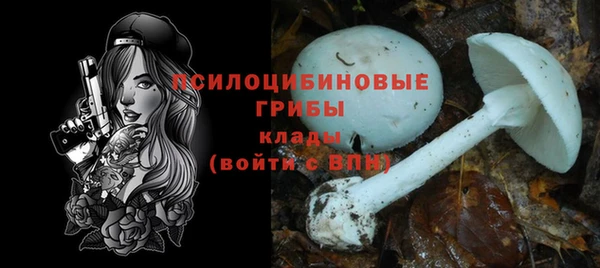 сатива Кодинск