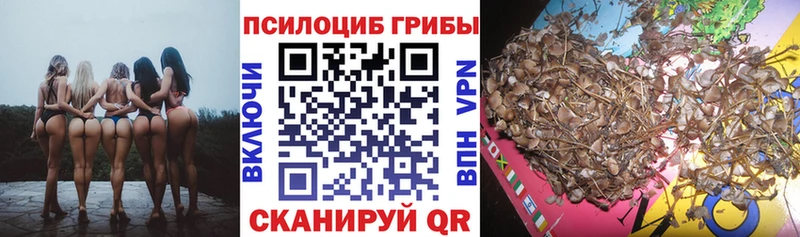 Купить закладки  Лениногорск  Псилоцибиновые грибы MAGIC MUSHROOMS 